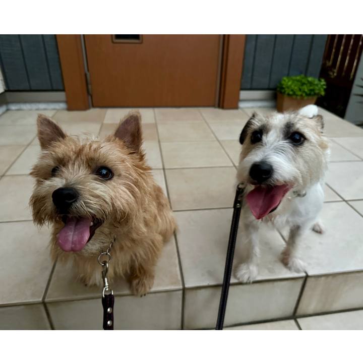 Ca81cfbf 09ce 4b75 b797 ca0b7483c95c 1757943477892