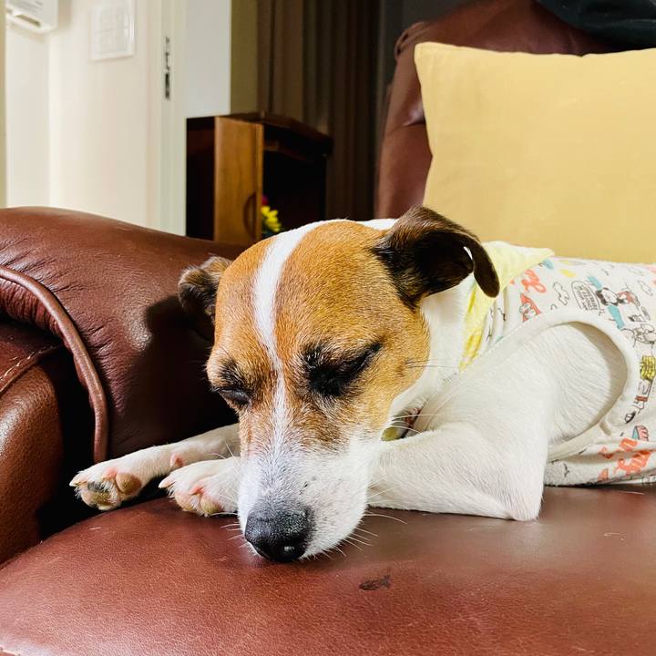 Ca81f2be 68fb 4c6c 9878 4794a81a2af8 1740641985965