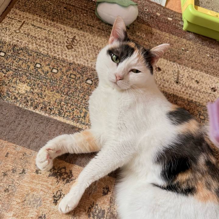 Ca825a2c 0ff6 4cd8 8ad7 2f3fc1a54594 1756345839088