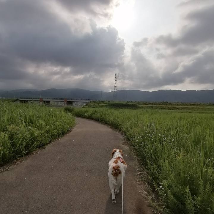 Ca826346 b191 4bdc 9e4d c48aaa2a4403 1591096550617