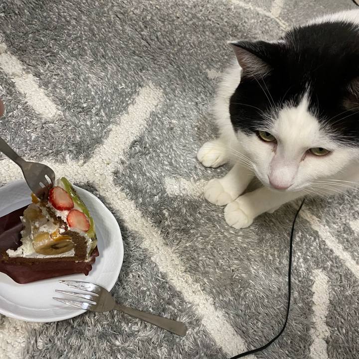 Ca82794b f7aa 45ea b81a 631e8947ee34 1604038552307