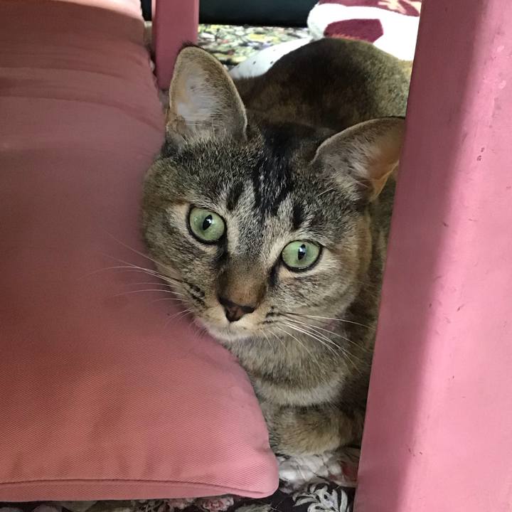 Ca828012 e230 4875 8843 44b0d6b0e74f 1594969054670