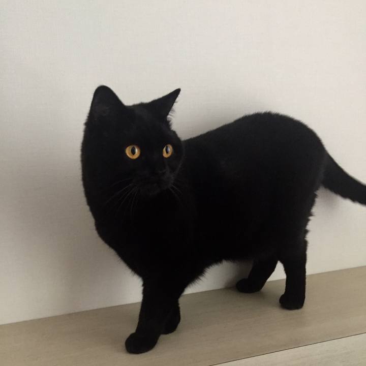 Ca82823a 6f98 457c 9955 2f2e198f3bdd 1529535182153