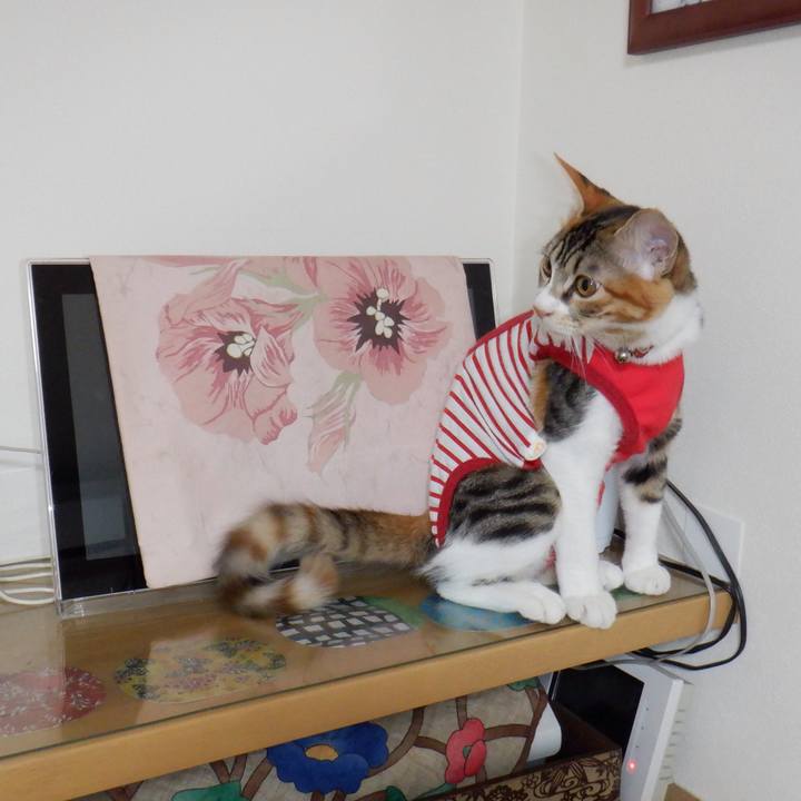 Ca82edeb 4bb6 476b 9187 153a8c1aa0c3 1632964539487