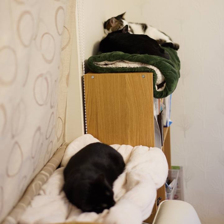 Ca831256 ed08 49fa 9236 084e1c1cd0a6 1549802154092