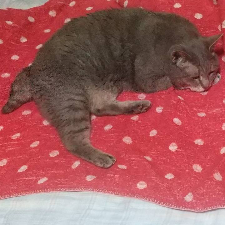 Ca831be2 aac1 49cd 80c3 21eaffee2add 1655639787234