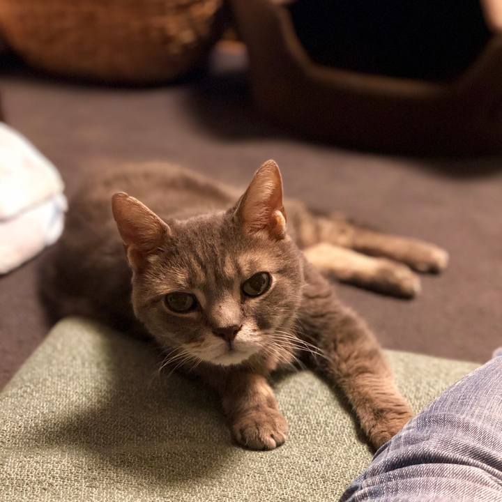 Ca83438d 6aac 471e 9ac3 3f1cd4b5f427 1567687621424