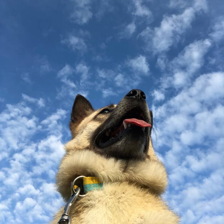 Ca836093 6b81 44c5 9b11 f3f782facf7c 1594899825133