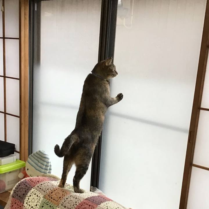 Ca839652 caa4 4af8 af47 63c98f083b4a 1634550663239