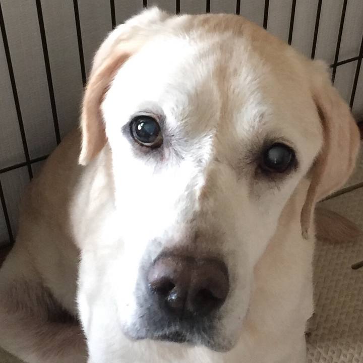 Ca83a4da 3f80 4475 908e 3b1a0dbc16ab 1534739350624