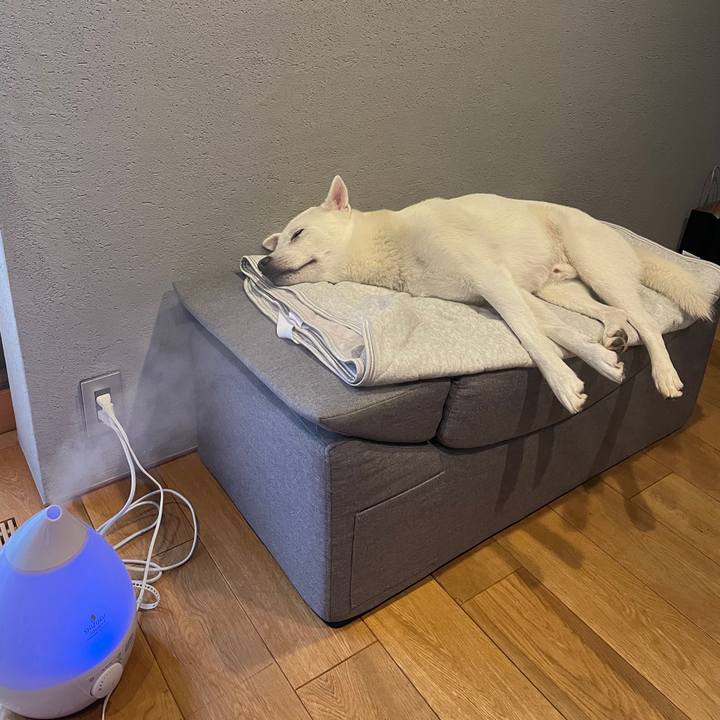 Ca83d3eb c91f 45c4 838c 7ed7377e3dac 1607422623203