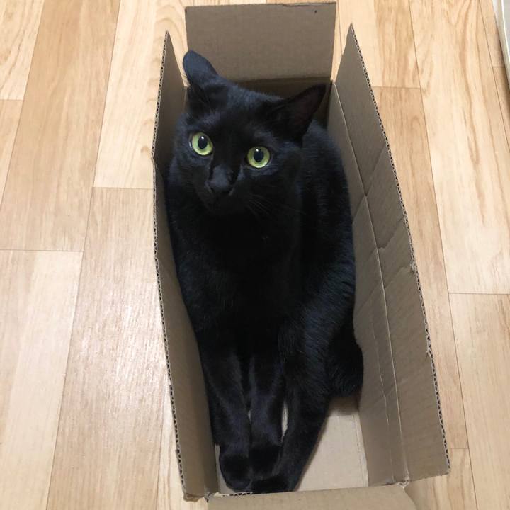 Ca83e4e7 34bd 4c79 8670 ceae8a747b85 1599213811074