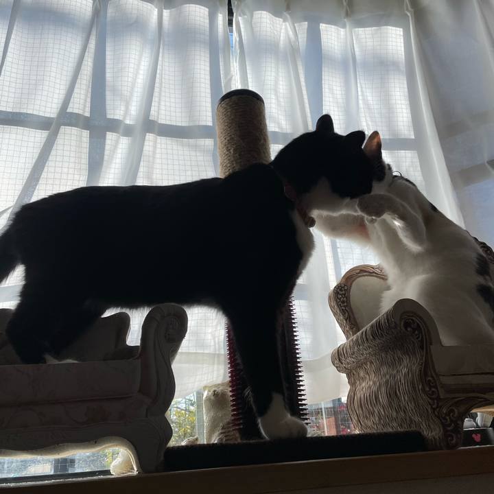 Ca83f2f1 ecaf 4ce1 9f13 ce99770e1a03 1679180751445