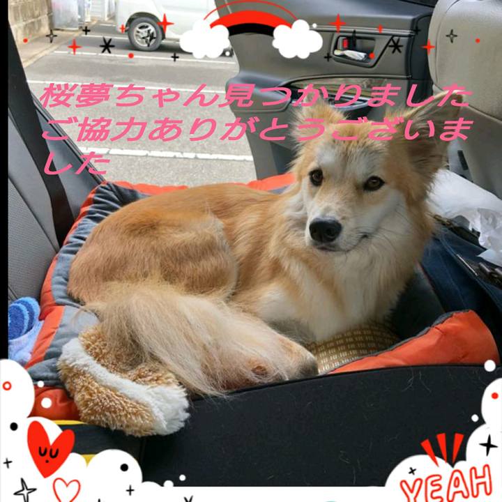 Ca84043c 5c7f 44d1 bbf9 9bff91c13c24 1542867324013