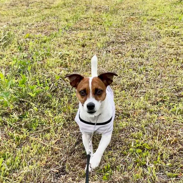 Ca8407de 183a 4dbe a0fd 47cb460f23bd 1633523740693