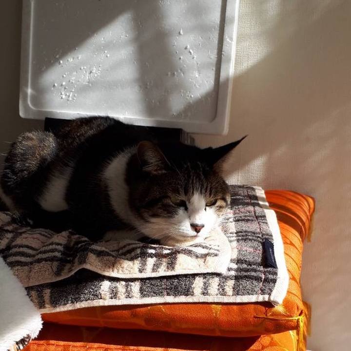 Ca8410eb e756 43fd 9b0a 01e38464da56 1516978156751