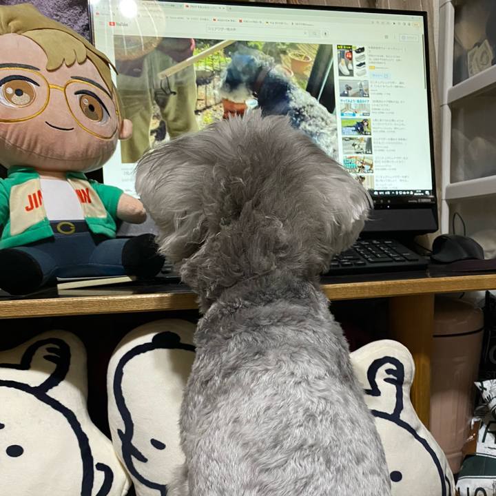 Ca842bf3 e1d1 4842 8137 fe71cac326d7 1649944555418