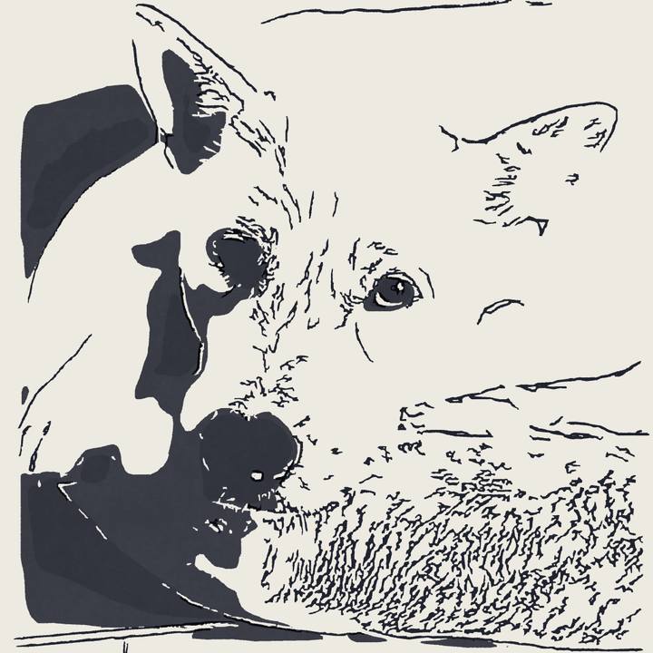 Ca843b30 2761 4e58 bd84 b76988fcb83b 1541563340231