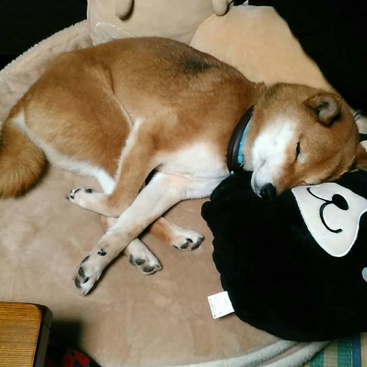 Ca84647b de23 432b 94cd 5a7ac5d898f6 1550751377608