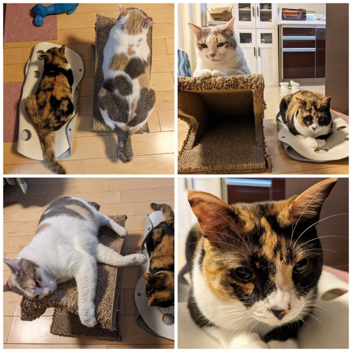 Ca8478db d4a5 4bc3 9b1c 27fb4871704b 1687924176991