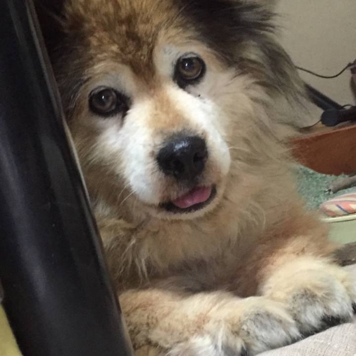 Ca84b533 5f71 44f4 8bcb 5ae8c751ecd6 1578054989425