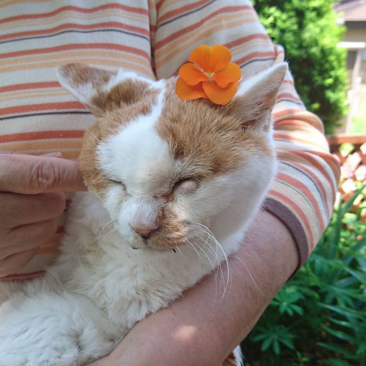 Ca84b7b1 5fff 4a49 832a 451814a3f0c3 1623812116398