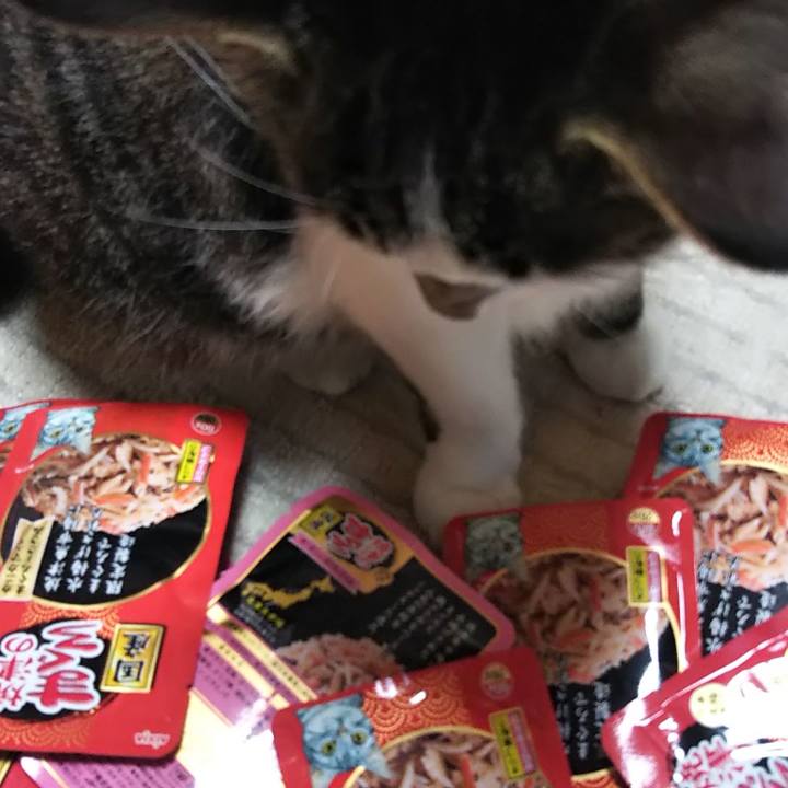 Ca84c78c 7e0d 4891 a8fc f74714b5b32f 1616144529885