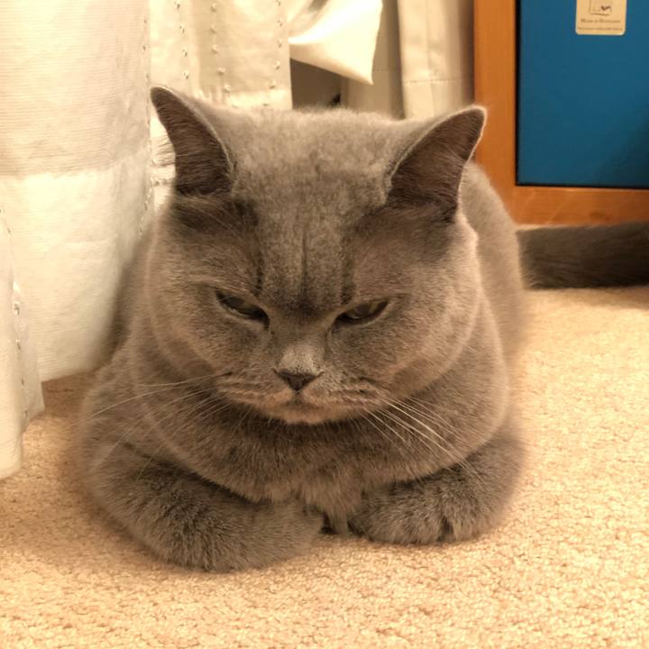 Ca84d305 598e 495d 9c55 0a2727a3d1b6 1545614587562