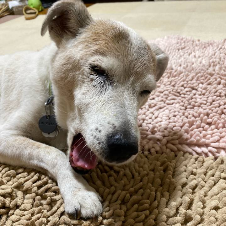 Ca84ebf8 0928 4378 a323 067f5e3683c9 1723643791364