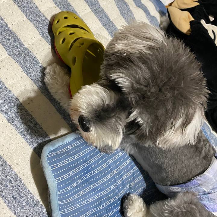 Ca84f733 54c8 4ea6 8683 6b969a4842d6 1594654609423