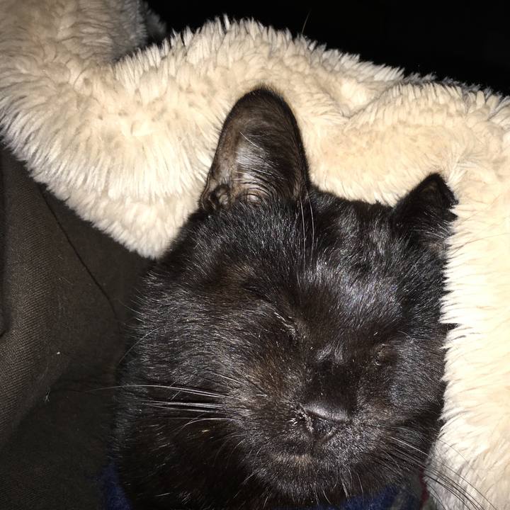 Ca851ac8 1ce0 4a75 9b9d f33b9d457181 1549489670188