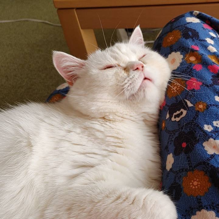 Ca851fa2 91b1 4cb4 bfbc b34de2b910d8 1710892083050