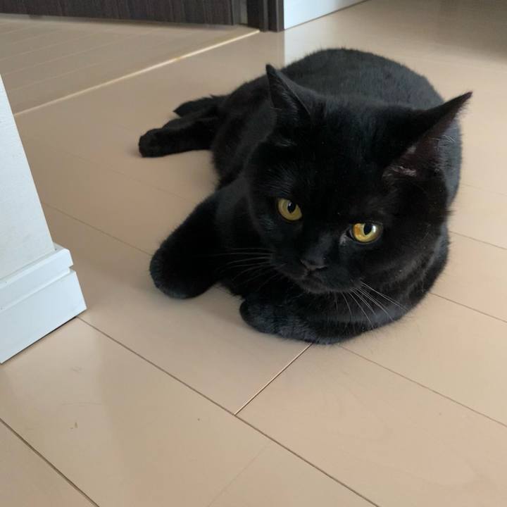 Ca852782 882f 47c9 b0e9 05d55e3d5631 1716966326030