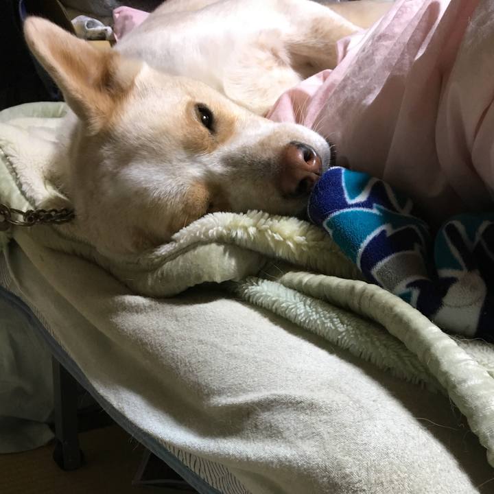 Ca854030 50b3 4999 aa04 653dac3aedc3 1515943441114