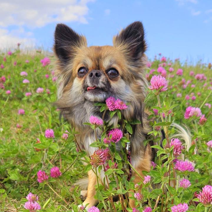 Ca859a3e b5b5 4ca0 b680 3e13c6669ce3 1765361290871