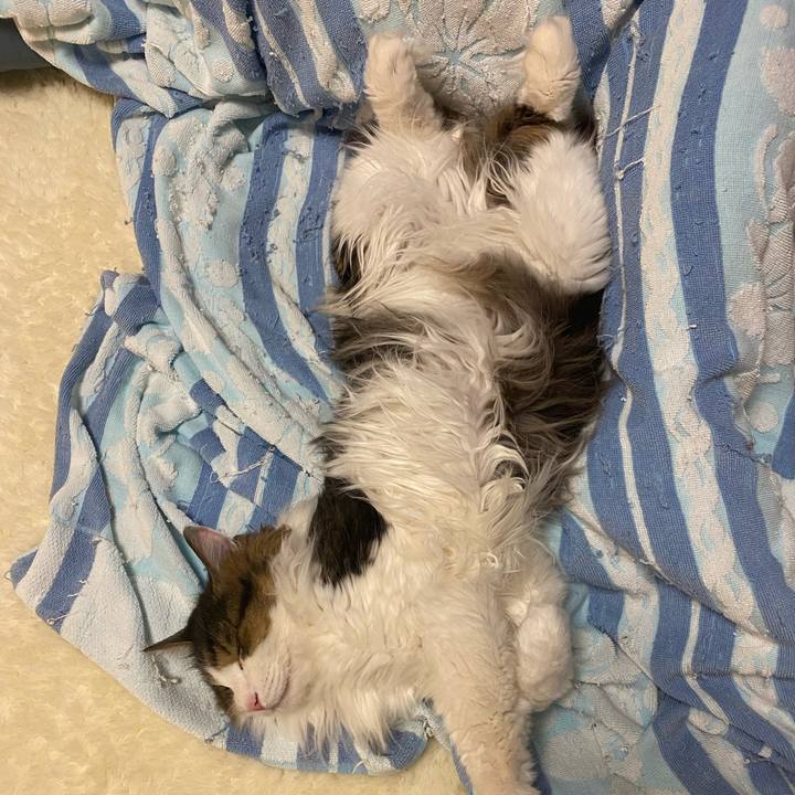 Ca859d87 47d9 466e 8b1e 0c6ec9c3671f 1671057031527