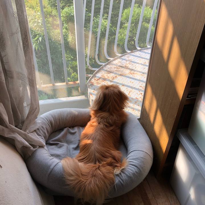 Ca85c8be 1a21 475a a83f 8b79874cf896 1529961710619