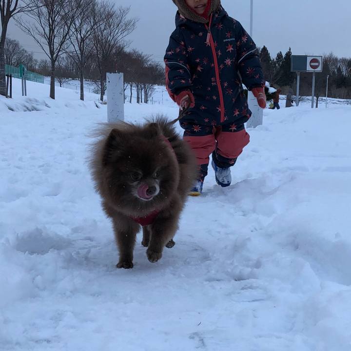 Ca85c944 5913 4687 a29c a0db782dd810 1546240661160