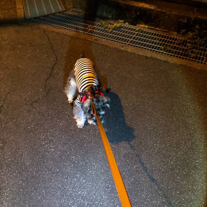 Ca86028f 96a9 4cf9 9046 bf606dbabe31 1636028434158