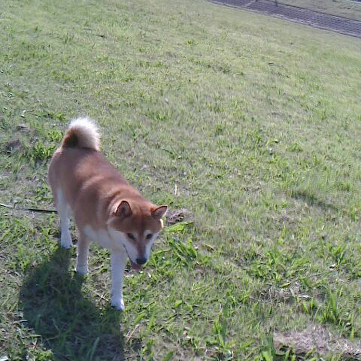 Ca869791 e2d0 40c1 b95e 5bd12e069279 1539995064358