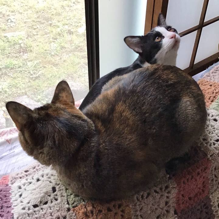 Ca86a440 69b8 466f 8f3a 18f8765c3480 1634807809448