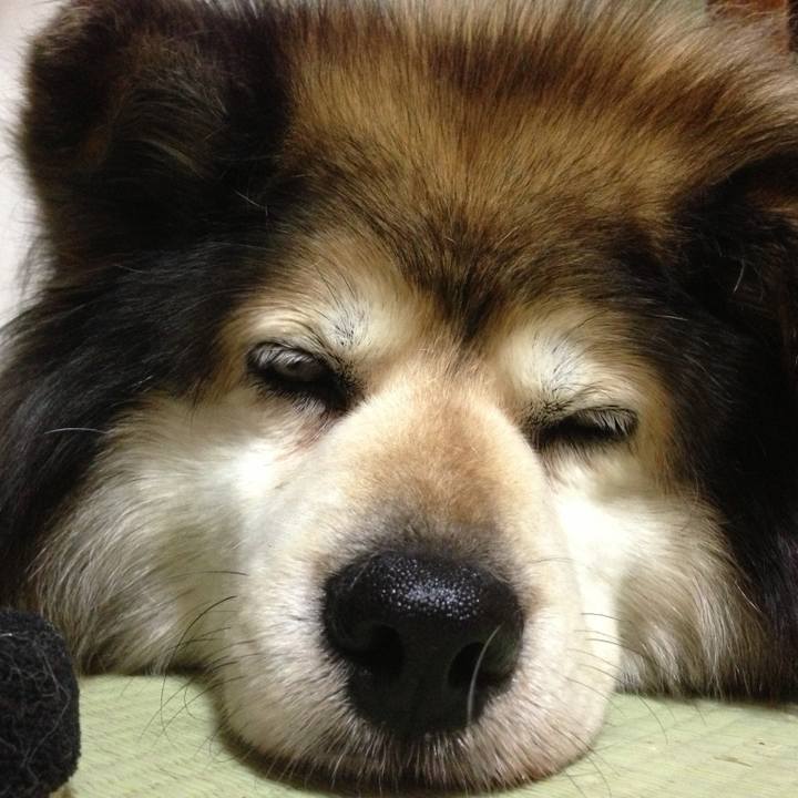 Ca86d9c3 8517 4824 a554 647b59a18dee 1607997083648