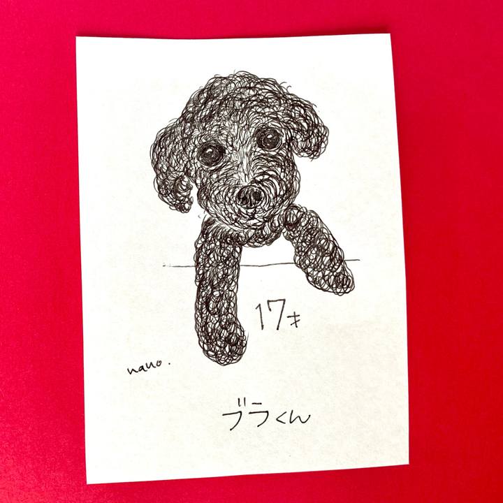 Ca87a339 90b8 47ca 98bd c2c825aa8053 1641278087408