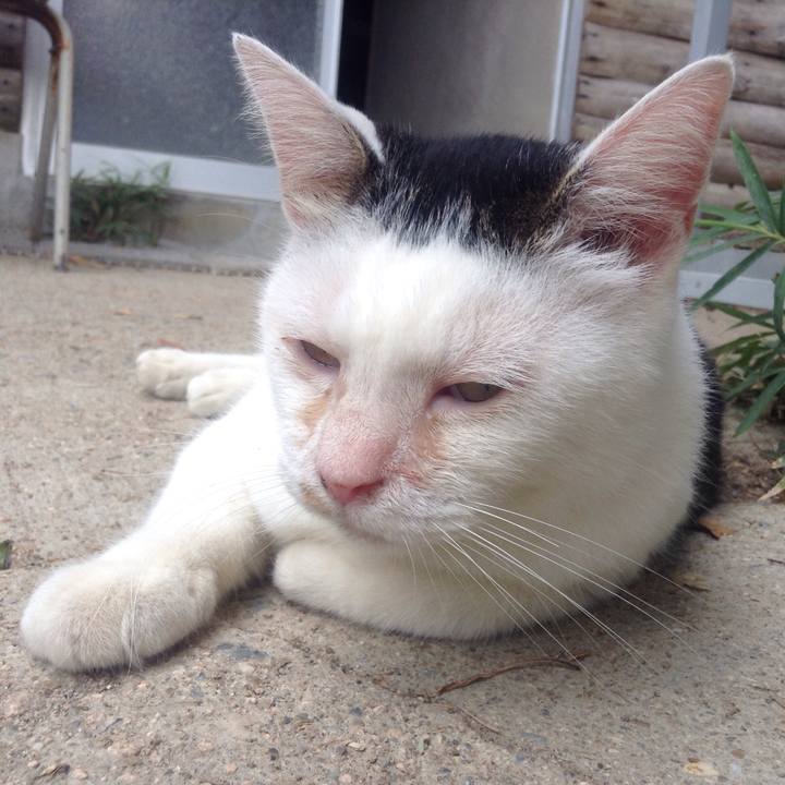 Ca87a564 5786 4f4d 832a 9dc9dcf4f005 1534425437143