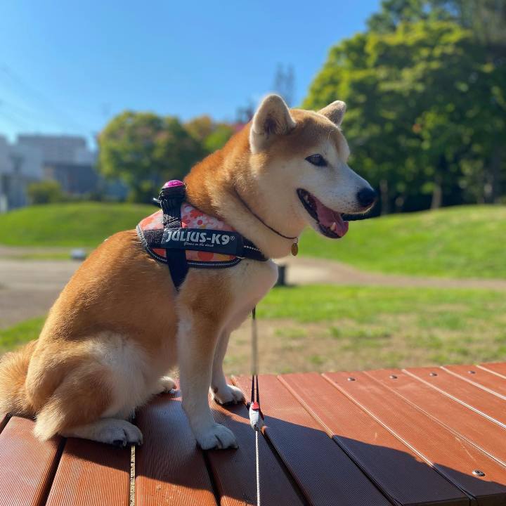 Ca87baaa d15c 4598 a84a ad82713ac97d 1630628417898