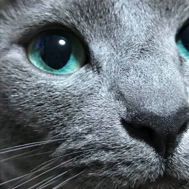 Ca87c261 b11e 49ad 82d6 32bc24333a97 1520030135995