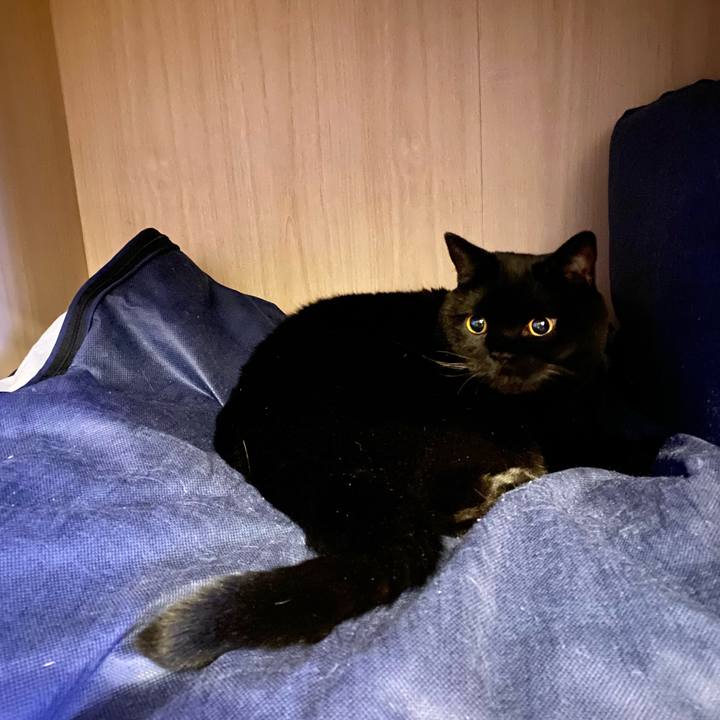 Ca87dedf dc2f 4306 9261 8662329f974a 1697974588622