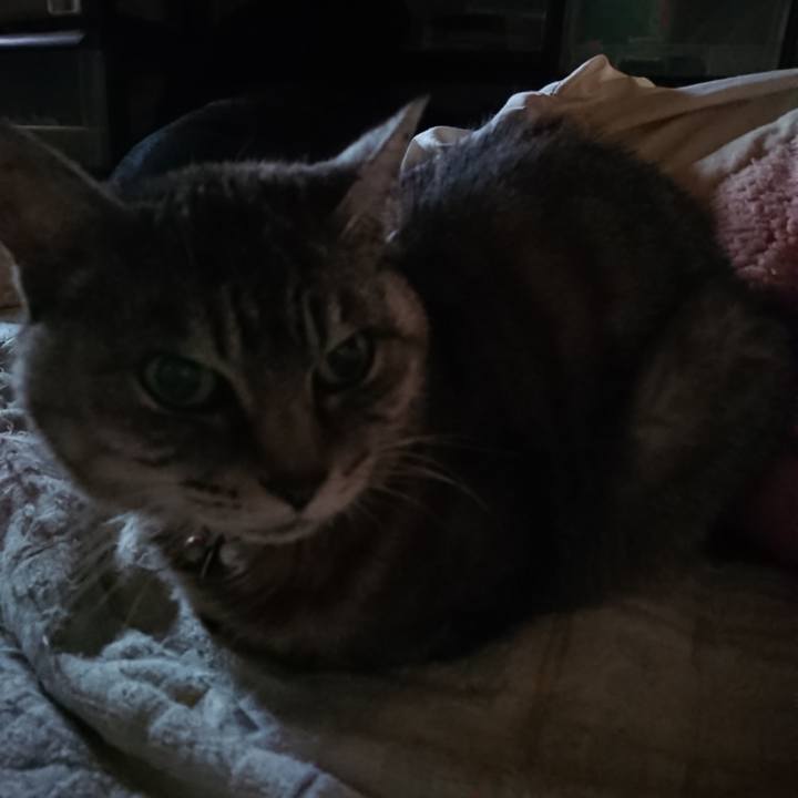 Ca87e366 fc8a 427c 92c2 fe583027c2e4 1568941565605