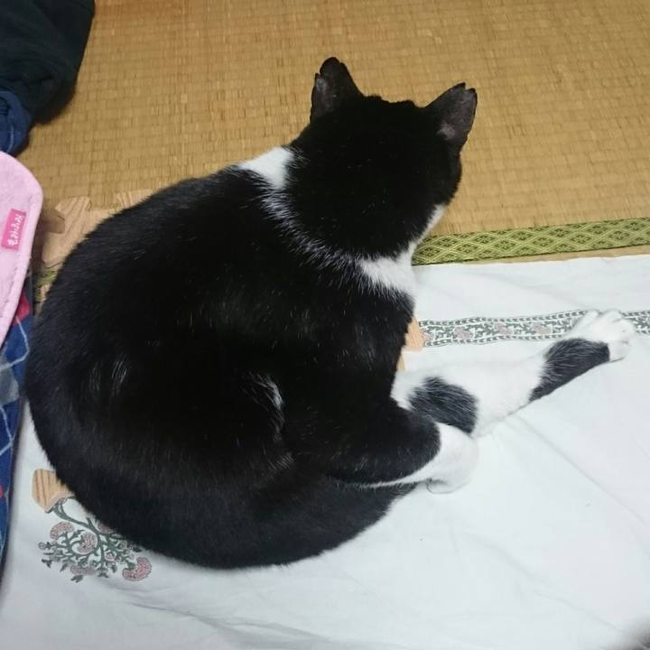 Ca8817ad aaf0 44d6 a6f4 37b7a4f632fe 1524698151406