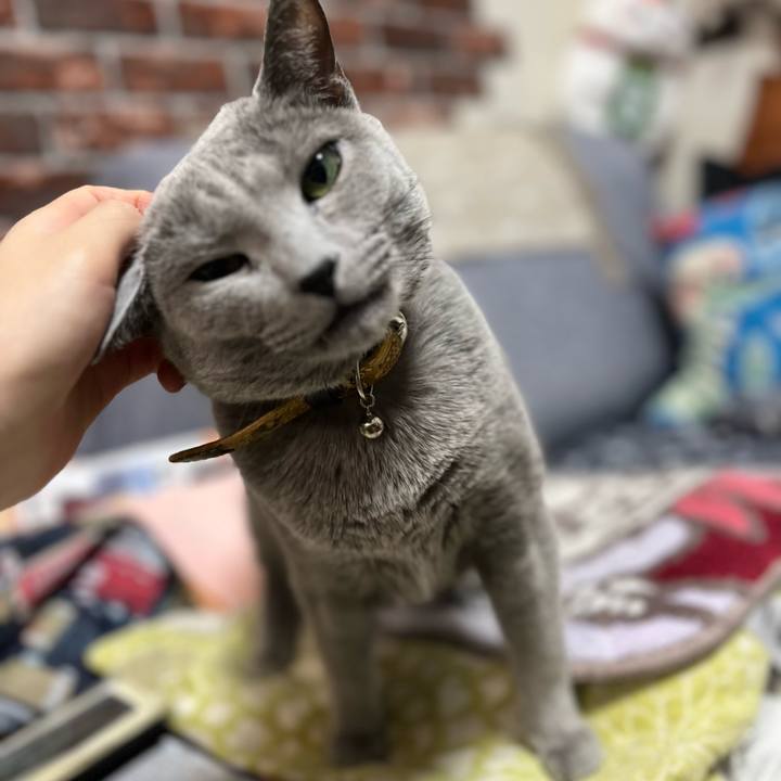 Ca887673 9760 4708 bb21 4b5e803785a0 1696514269604